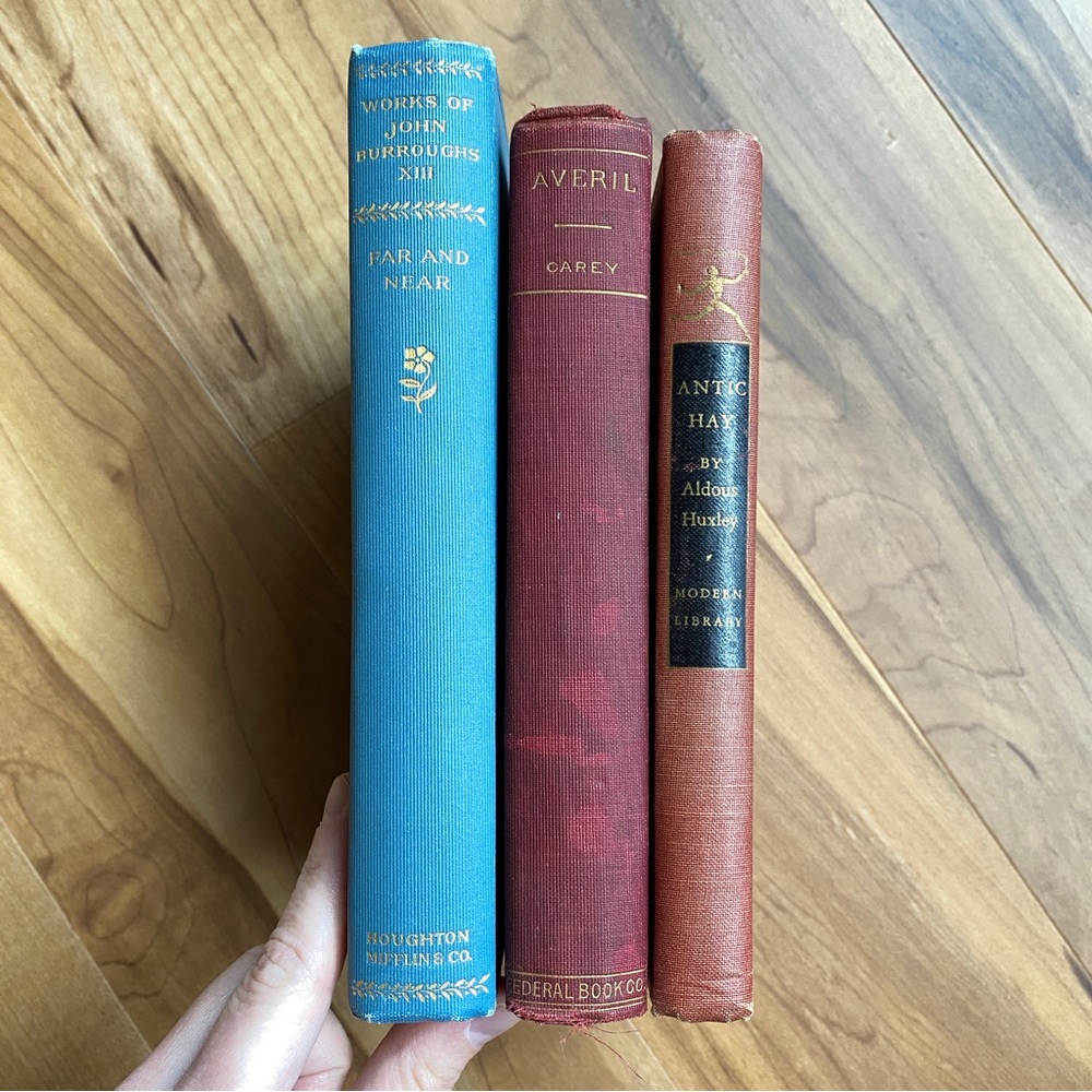 Set of 3 antique vintage books 1900s red blue